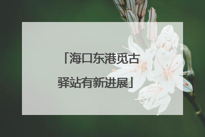 海口东港觅古驿站有新进展