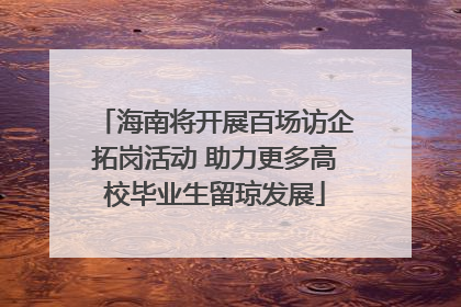海南将开展百场访企拓岗活动 助力更多高校毕业生留琼发展