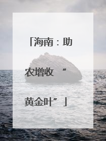 海南：助农增收 “黄金叶”