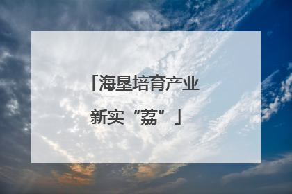 海垦培育产业新实“荔”