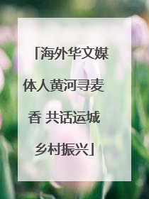 海外华文媒体人黄河寻麦香 共话运城乡村振兴