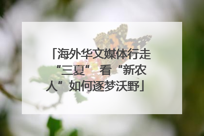 海外华文媒体行走“三夏” 看“新农人”如何逐梦沃野