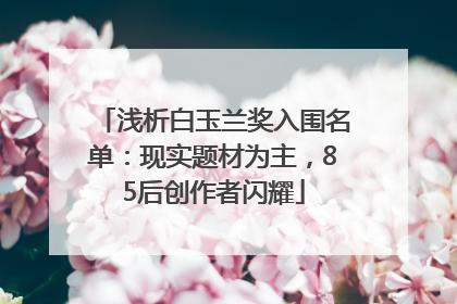 浅析白玉兰奖入围名单：现实题材为主，85后创作者闪耀