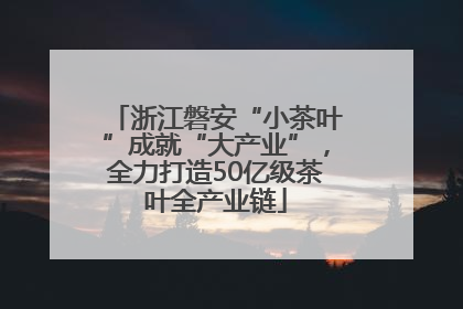 浙江磐安“小茶叶”成就“大产业”，全力打造50亿级茶叶全产业链