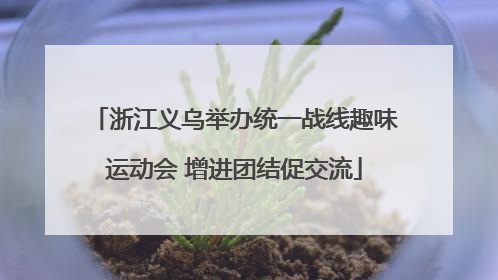 浙江义乌举办统一战线趣味运动会 增进团结促交流