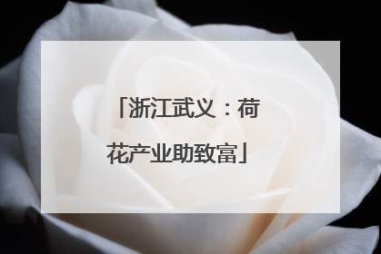 浙江武义：荷花产业助致富