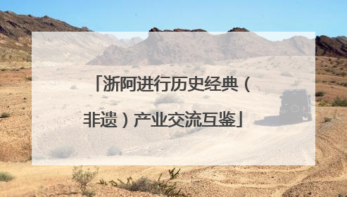 浙阿进行历史经典（非遗）产业交流互鉴