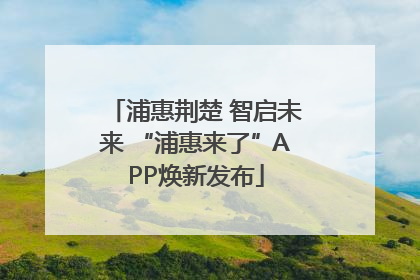 浦惠荆楚 智启未来 “浦惠来了”APP焕新发布