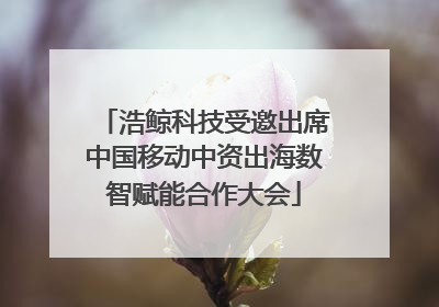 浩鲸科技受邀出席中国移动中资出海数智赋能合作大会