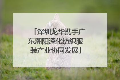 深圳龙华携手广东潮阳深化纺织服装产业协同发展