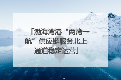 渤海湾港“两湾一航”供应链服务北上通道稳定运营