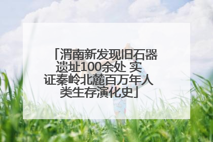 渭南新发现旧石器遗址100余处 实证秦岭北麓百万年人类生存演化史