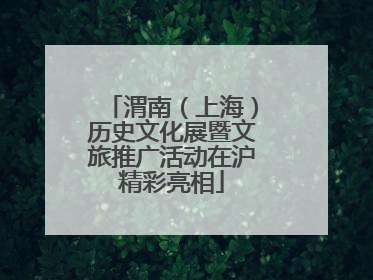 渭南（上海）历史文化展暨文旅推广活动在沪精彩亮相