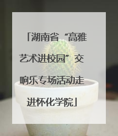 湖南省“高雅艺术进校园”交响乐专场活动走进怀化学院