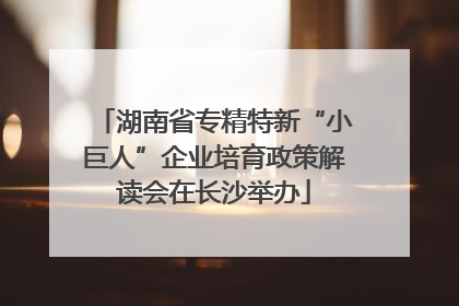 湖南省专精特新“小巨人”企业培育政策解读会在长沙举办