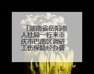湖南省岳阳市人社局一行来重庆市巴南区调研工伤保险经办管理工作
