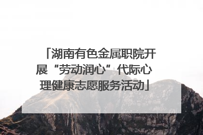 湖南有色金属职院开展“劳动润心”代际心理健康志愿服务活动