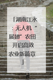湖南江永：无人机“展翅”农田 开启高效农业新篇章