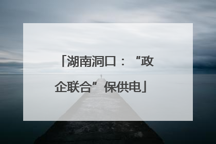 湖南洞口：“政企联合”保供电