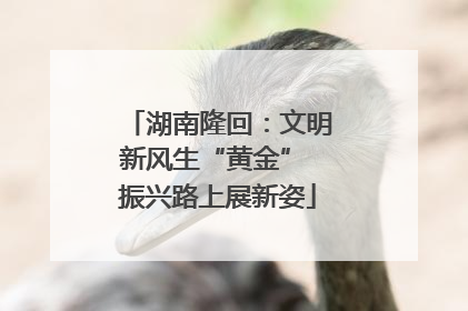 湖南隆回：文明新风生“黄金” 振兴路上展新姿