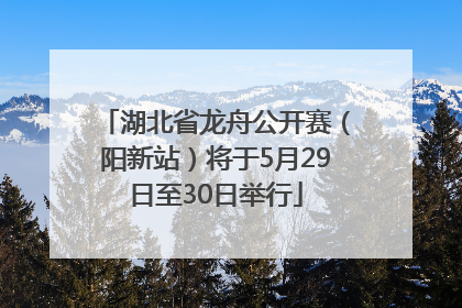湖北省龙舟公开赛（阳新站）将于5月29日至30日举行