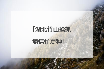 湖北竹山抢抓墒情忙夏种