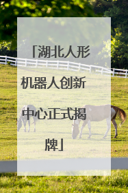 湖北人形机器人创新中心正式揭牌