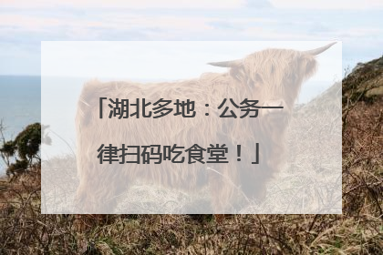 湖北多地：公务一律扫码吃食堂！