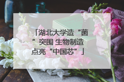 湖北大学造“菌”突围 生物制造点亮“中国芯”