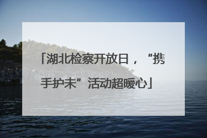 湖北检察开放日，“携手护未”活动超暖心