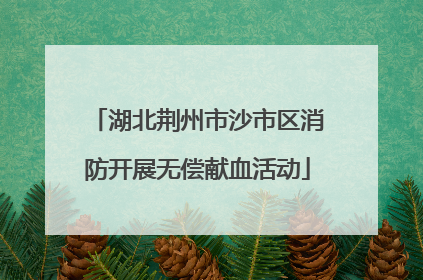 湖北荆州市沙市区消防开展无偿献血活动
