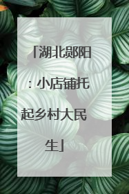 湖北郧阳：小店铺托起乡村大民生