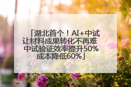 湖北首个！AI+中试让材料成果转化不再难 中试验证效率提升50%成本降低60%