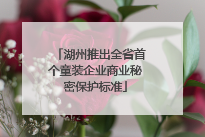 湖州推出全省首个童装企业商业秘密保护标准
