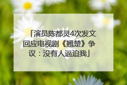 演员陈都灵4次发文回应电视剧《翘楚》争议：没有人逼迫我