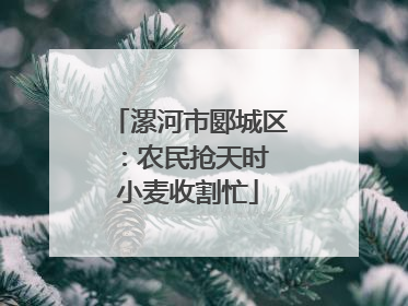 漯河市郾城区：农民抢天时 小麦收割忙