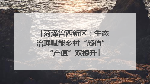 菏泽鲁西新区：生态治理赋能乡村“颜值”“产值”双提升
