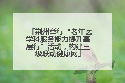 荆州举行“老年医学科服务能力提升基层行”活动，构建三级联动健康网