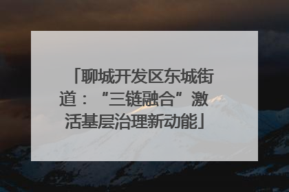 聊城开发区东城街道：“三链融合”激活基层治理新动能