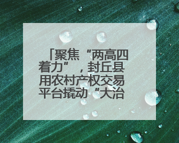 聚焦“两高四着力”，封丘县用农村产权交易平台撬动“大治理”