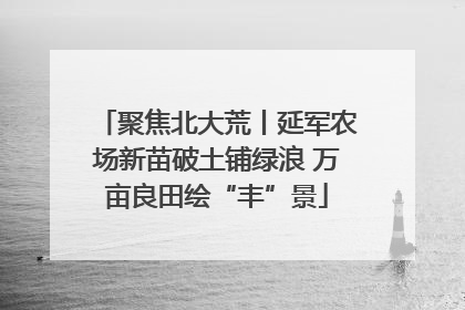 聚焦北大荒丨延军农场新苗破土铺绿浪 万亩良田绘“丰”景