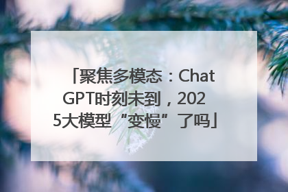 聚焦多模态：ChatGPT时刻未到，2025大模型“变慢”了吗