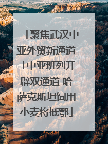聚焦武汉中亚外贸新通道│中亚班列开辟双通道 哈萨克斯坦饲用小麦将抵鄂