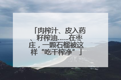 肉榨汁、皮入药、籽榨油……在枣庄，一颗石榴被这样“吃干榨净”