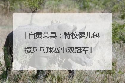 自贡荣县：特校健儿包揽乒乓球赛事双冠军