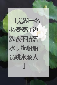 芜湖一名老婆婆江边洗衣不慎落水，拖船船员跳水救人