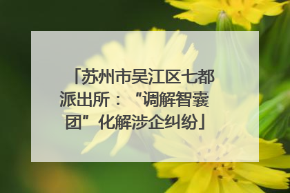 苏州市吴江区七都派出所：“调解智囊团”化解涉企纠纷