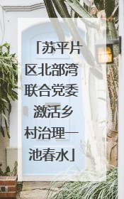 苏平片区北部湾联合党委 激活乡村治理一池春水