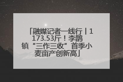 融媒记者一线行丨1173.53斤！李鹊镇“三作三收”首季小麦亩产创新高