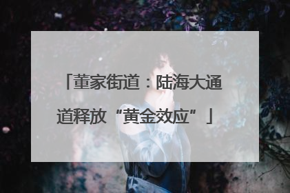 董家街道：陆海大通道释放“黄金效应”
